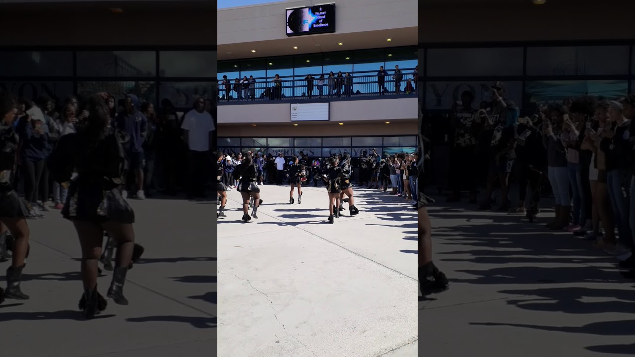 Las Vegas hi Steppers Canyon springs high school 2/21/2020