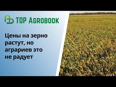 Видео: Цены на зерно растут, но аграриев это не радует | TOP Agrobook: обзор аграрных новостей