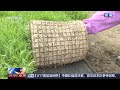 [新闻直播间]耕出好景“智” 辽宁沈阳 智慧种良田 沃野绘新篇 | 新闻来了 News Daily