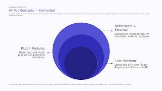 Information Custom Middleware & Extensibility Layers Guide