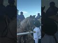#BreedersCup Snack Break