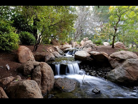 Video: Japanese Friendship Garden in Phoenix, Arizona