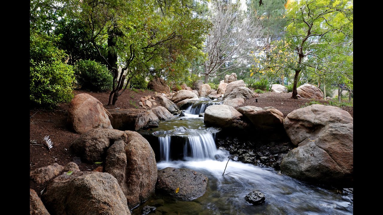 Take A Video Tour Of The Japanese Friendship Garden In Downtown