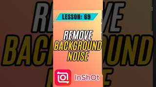 How to Remove Background Noise from Audio in InShot - Lesson 69 InShot Tutorial