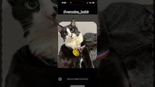 How to create your own sticker set on Telegram #veronica_hubir