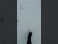 Snow sounding snow #snow