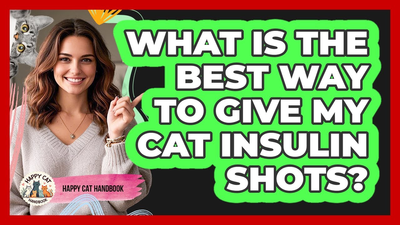 What Is The Best Way To Give My Cat Insulin Shots? - Happy Cat Handbook