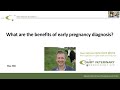 En idexx pag explainer  the benefits of early pregnancy diagnosis