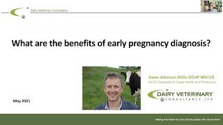 (EN) IDEXX PAG Explainer | The benefits of early pregnancy diagnosis