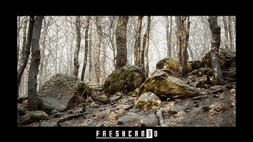 Unreal Engine Procedural Oak Forest - Winter