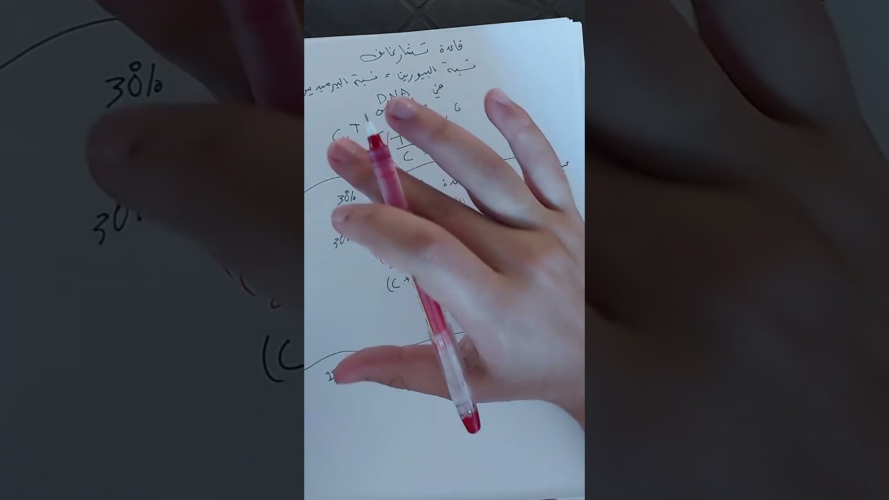 حل اسئلة على قاعدة تشارغاف