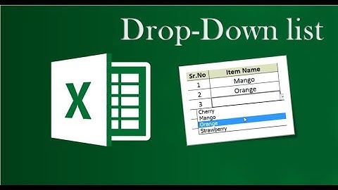 Drop Down List In Excel [ Urdu / Hindi ]