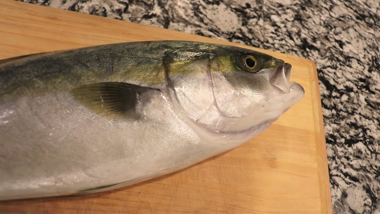 How To Fillet A Young Yellow Tail For Sashimi ツバスの刺身 Youtube