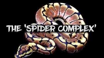 The Six Genes in the 