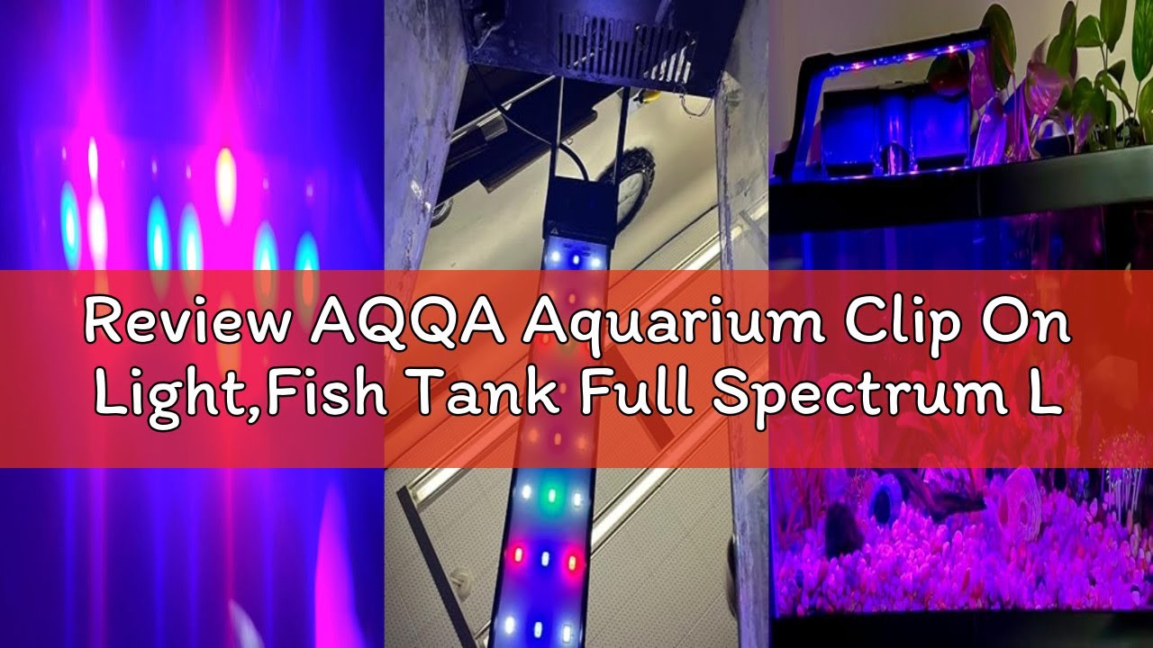 Review AQQA Aquarium Clip On Light,Fish Tank Full Spectrum LED Light,24/7 Sunrise Sunrise Mode+10 Ad