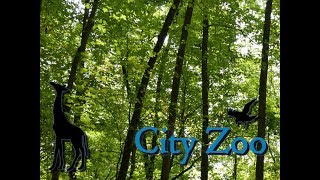 City Zoo Part 10 African Lion Exhibit - Zoo Ty 2