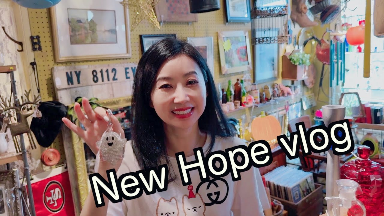 Lambertville/New Hope vlog: 又是闲逛的一天 中古店探店, new hope-lambertville bridge, new hope railroad station