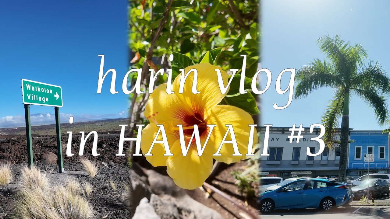 【HAWAII vlog】#3 ハワイ島ヒロの街⛰☀️/ 地元でのんびりショッピング&BBQ