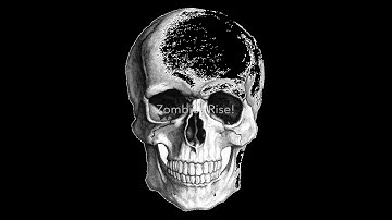 Firewall Zero Hour Zombies Rise