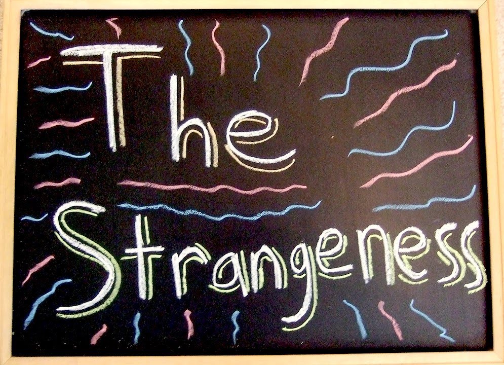 The Strangeness - A vlog about Pogopalooza (pogo stick convention) and VidCon 2011 (YouTubers convention). 