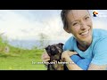 Foster Mom Becomes Seeing-Eye Human For This Blind Puppy | The Dodo