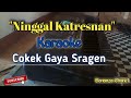 Ninggal Katresnan Karaoke || Sragenan Koplo Campursari