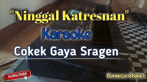 Ninggal Katresnan Karaoke || Sragenan Koplo Campursari