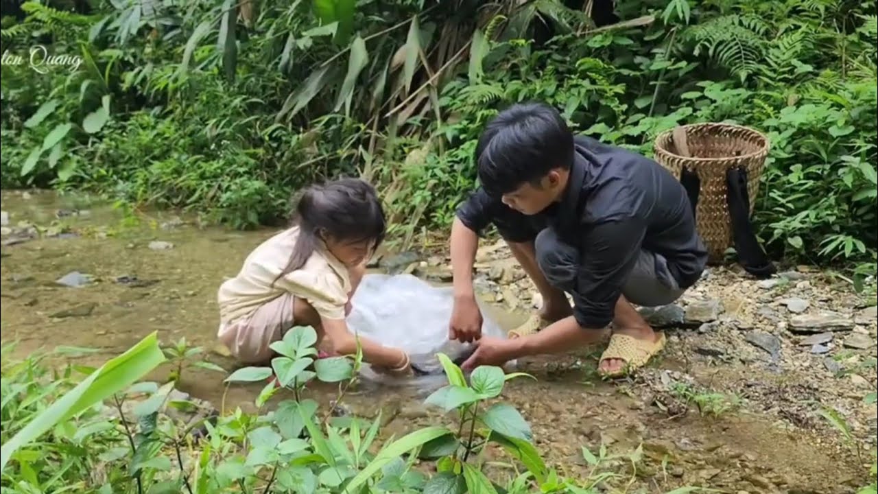 The poor boy and girl went to catch fish in the stream and gather fruit to sell - Ly Ton Quang