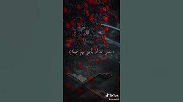 قرآن كريم 🕊️ حالات واتساب تيك توك دينيه 🤲