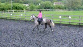 DSCF0084.AVI