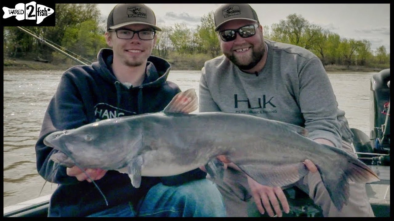 Catch Channel Catfish from Start to Finish - Game & Fish