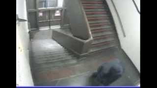 Burglary 1835 S 9th Street DC# 14 03 009699
