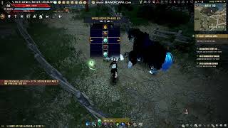 blackdesert cheating box from Patrigio