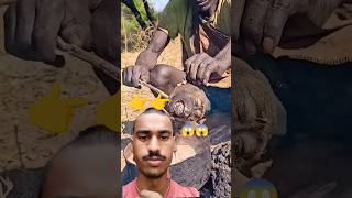 Why Do Hadzabe Tribe Hunters Love Baboon Head Soup?#shortsfeed #hadzabetribe