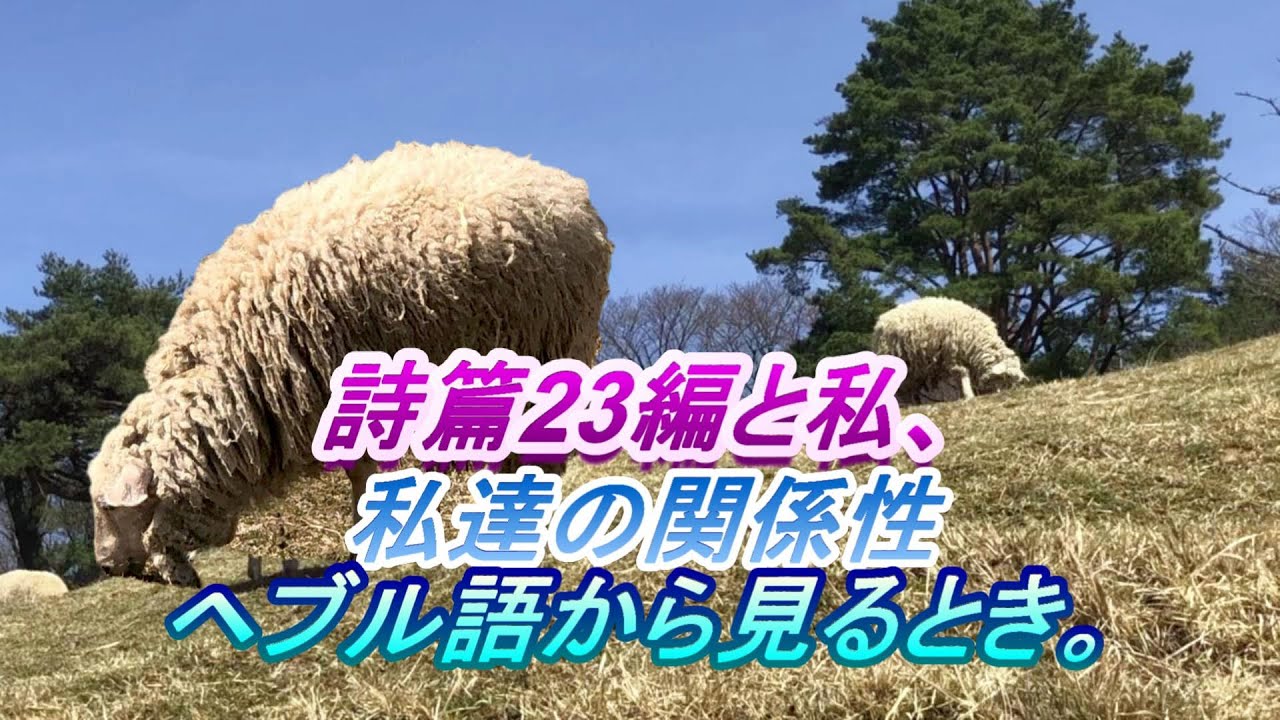 詩篇23編と日常生活から見えること そしてヘブル語の詩篇23から私たちが学ぶこと 心の風景 愛の聖書 福音と癒やしと日常から ミカエル小栗