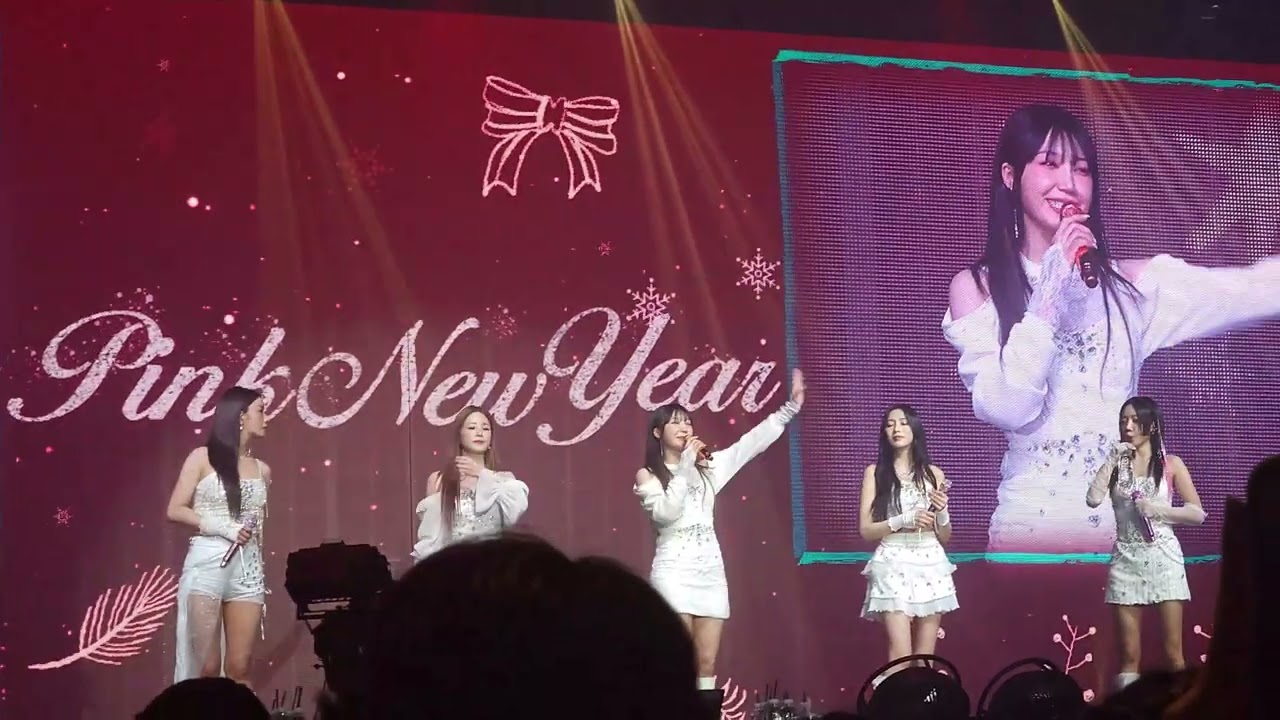 20250220 Apink PINK NEW YEAR @ singapore expo hall7