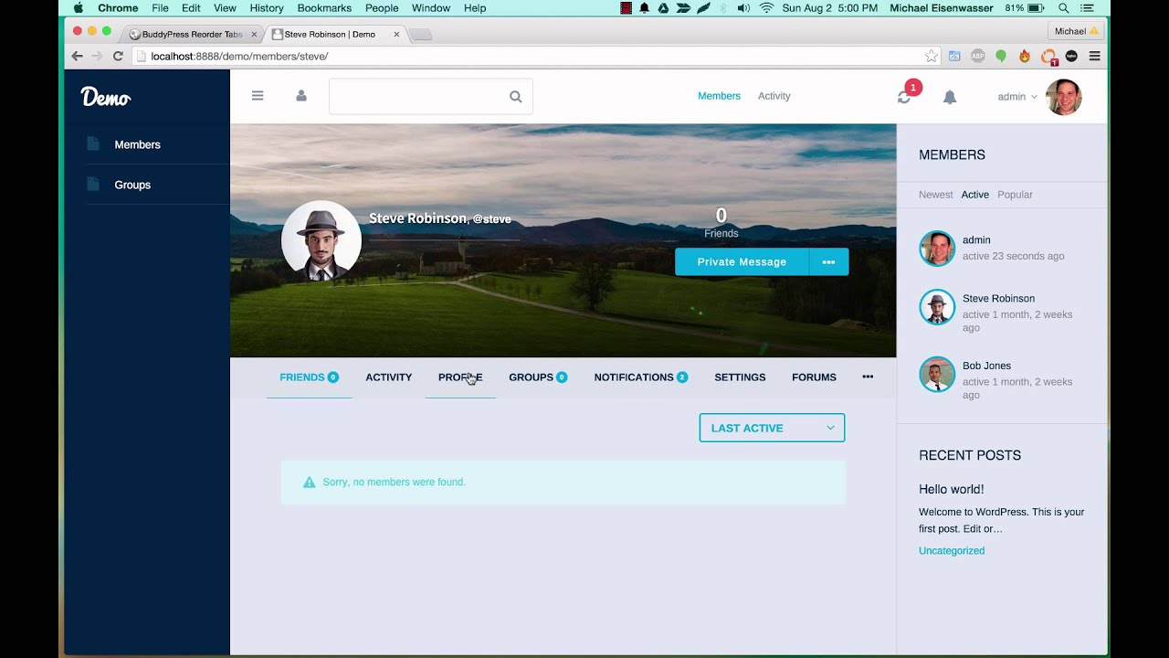 How to use BuddyPress Reorder Tabs