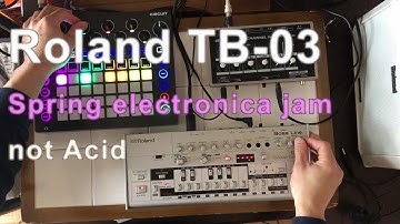 Roland TB-03 Spring electronica jam not Acid with Novation Circuit