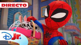 🔴MEGA DIRECTO: Spidey y su Superequipo en nuevas super aventuras🕷️🕸️ | Disney Junior Oficial