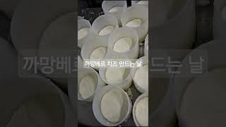 까망베르 치즈 만드는 날 마시치요는 기분업되었습니다. 한달이 언제 지나가려나요? 맛있는 치즈를 먹기 위해 참겠습니다 #마시치요 #까망베르치즈 #숙성치즈
