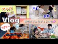 ★Vlog★マグマをこえて恐竜発掘プリンをゲットせよ！