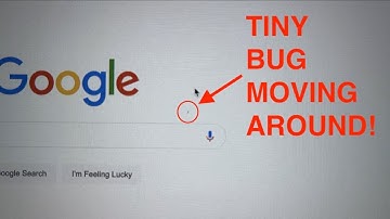 🐞 BUG CRAWLING INSIDE MY LCD MONITOR 🐞 !!!