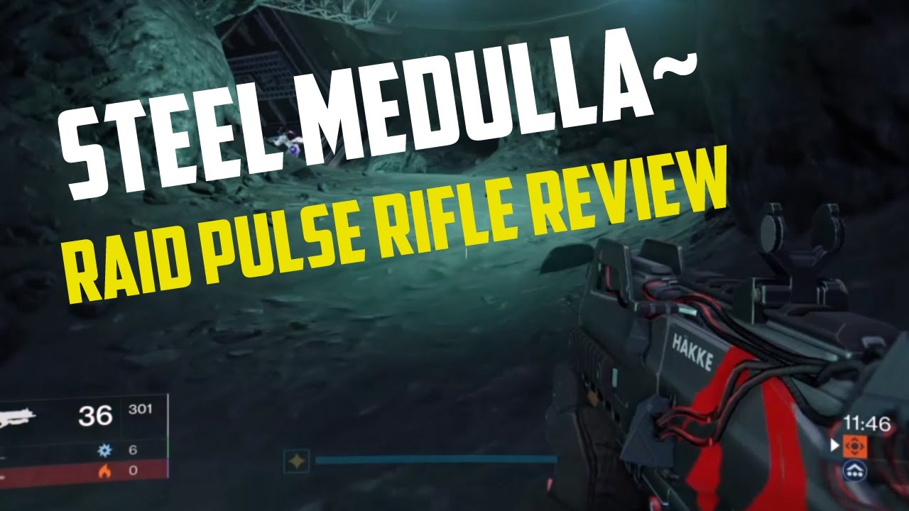 Destiny: STEEL MEDULLA~ RAID PULSE RIFLE REVIEW