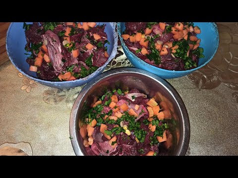 რას ვაჭმევთ ძაღლებს? ქართული ნაგაზიები ხოდა და აფინა / ამერიკული პიტბულ ტერიერი ზარრა