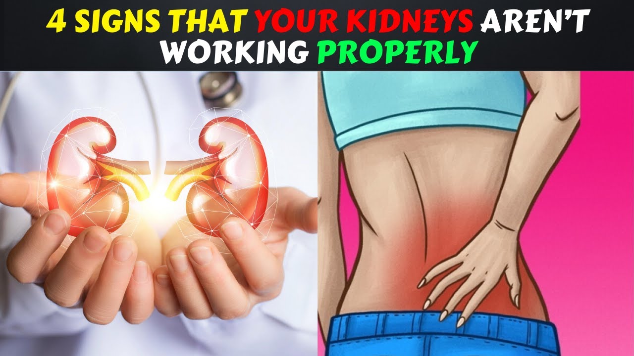 4 Signs That Your Kidneys Aren t Working Properly YouTube 4-signs-that-your-kidneys-aren-t-working-properly-youtube