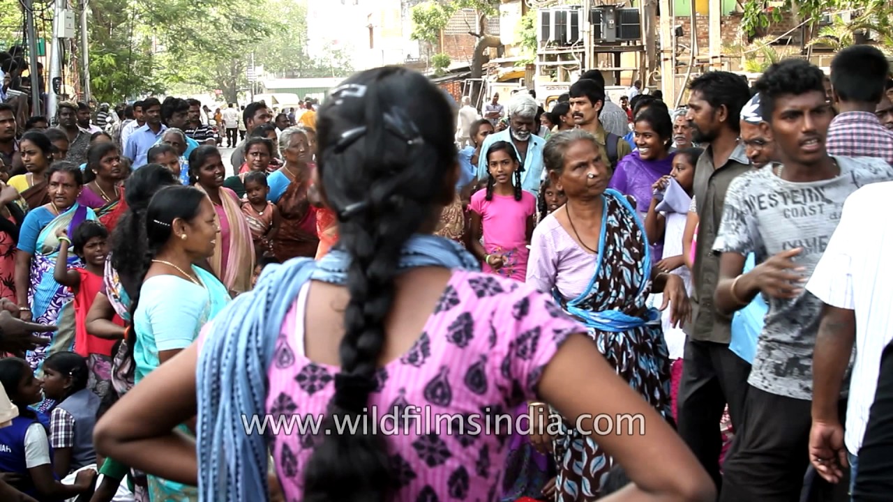 Chennai protest or celebration time? Women band together at Jallikattu ban protests