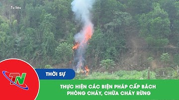Thực hiện các biện pháp cấp bách phòng cháy, chữa cháy rừng