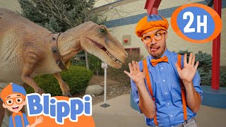 Blippi Meets Stanley The Dinosaur | | Blippi | Educational Kids Videos | Moonbug Kids