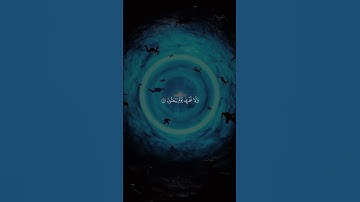 لا اله الا الله 💙 #quran #اكسبلور #المصحف #تلاوات #لايك #قرآن #الرحمن #قران #قران_كريم #قرآن_كريم