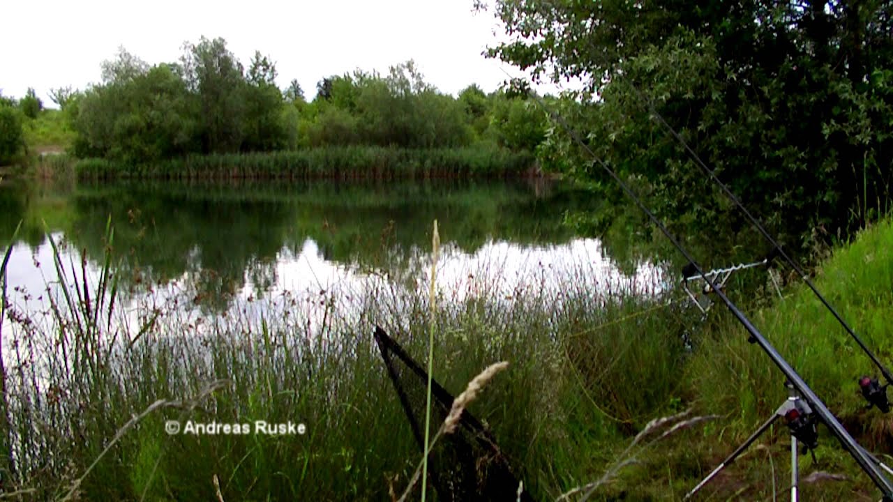Karpfenbiss-Neulich beim Angeln